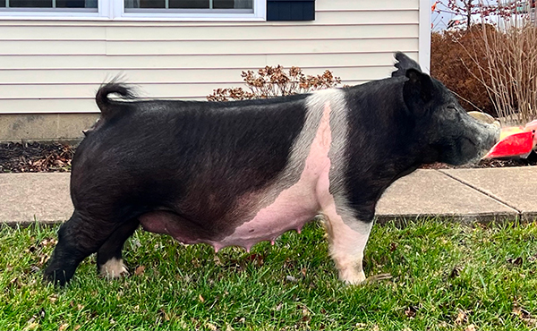 MissUnderstood MissUnderstood