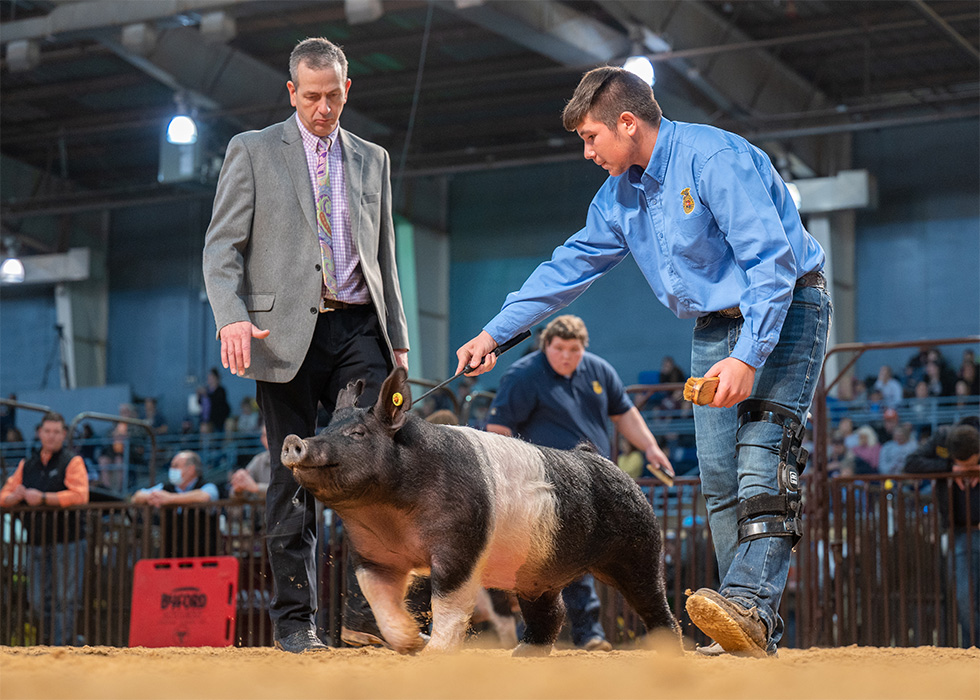 Seventh Overall Hamp OYE