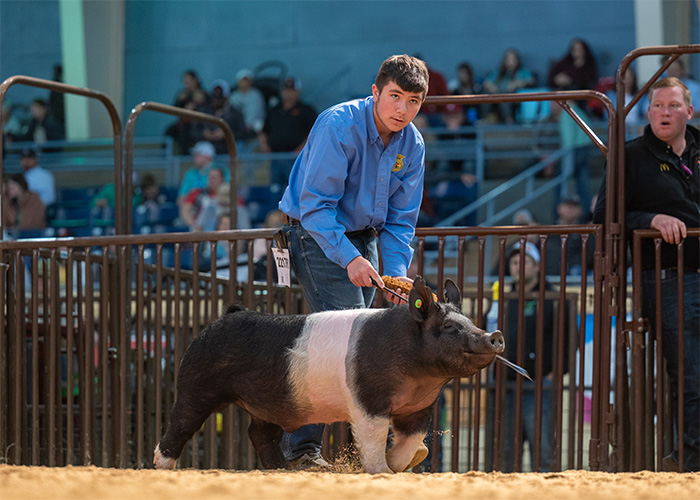 Seventh Overall Hamp OYE