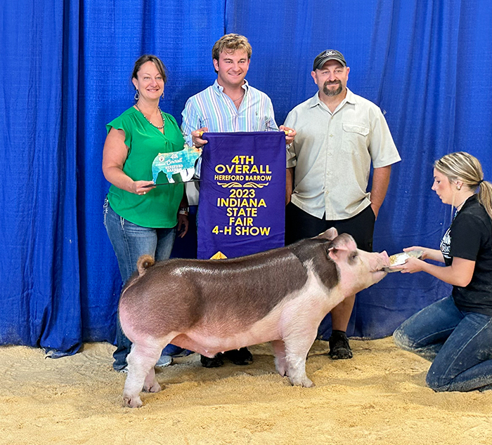 4th Overall Hereford Barrow 2023 Indiana State Fair