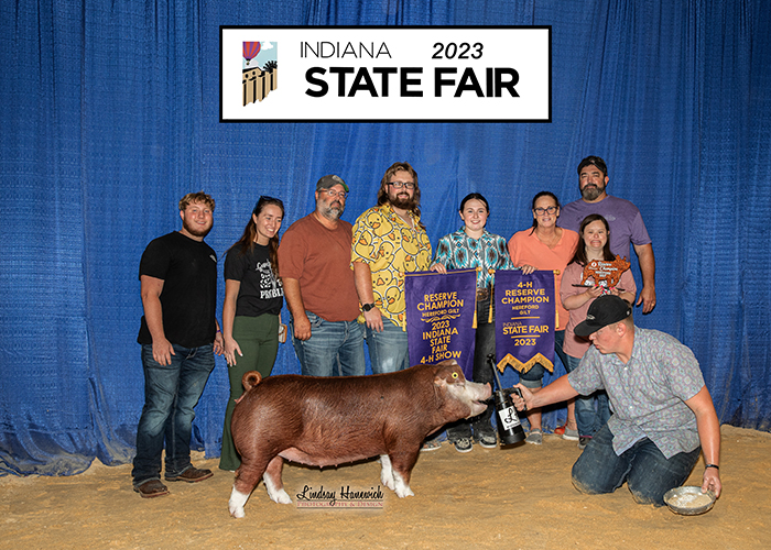 Champion Hereford Gilt<br />
2023 Indiana State Fair