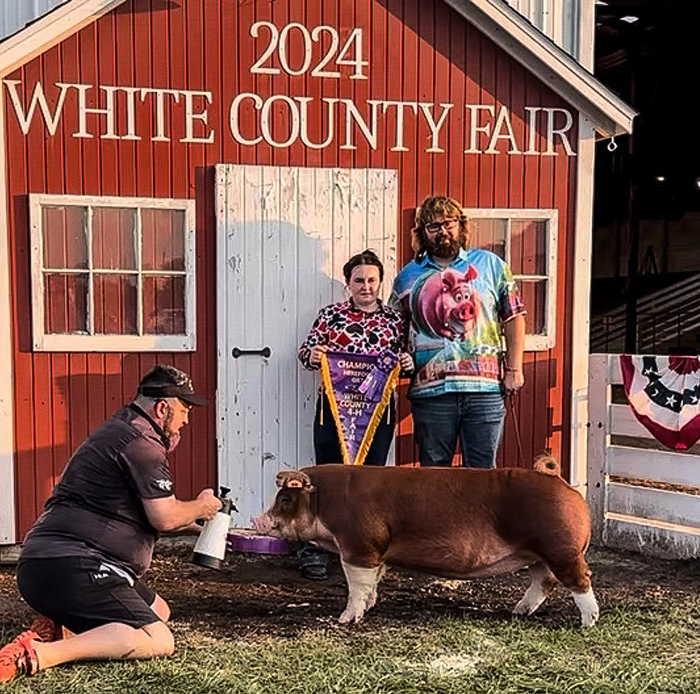 Champion Hereford Gilt<br />
2024 White County