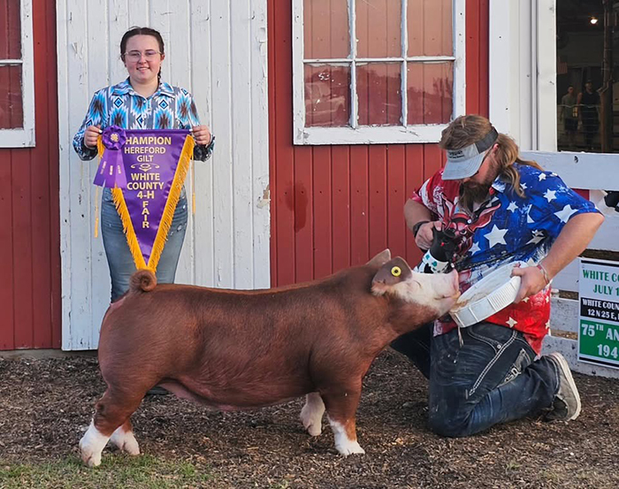Champion Hereford Gilt<br />
2023 White County
