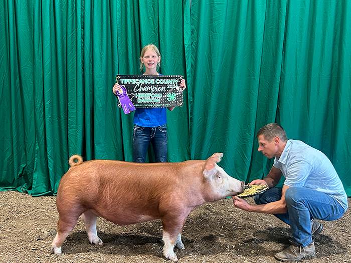 Champion Hereford Barrow<br />
2024 Tippacanone Co