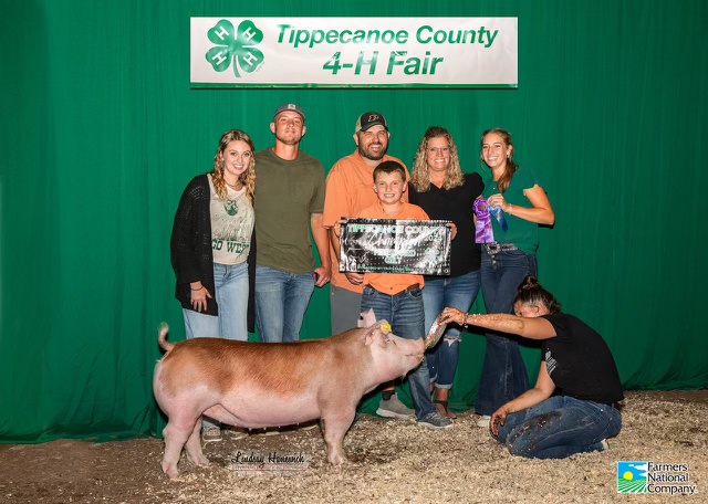 Champion  Hereford Gilt<br />
2024 Tippacanone County