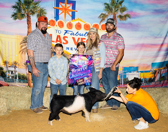 Reserve Champion Division 1<br />
2024 Wildcard Jackpot, Florida